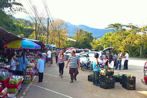 Chiang Mai: Parque Nacional Doi Inthanon e Caminhada Pha Dok Siew