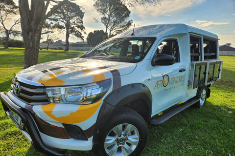 Addo Elephant National Park All Inclusive heldagssafariStandardtur