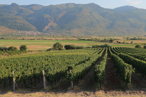 From Sofia: Plovdiv and Thracian Wine Tour with Lunch