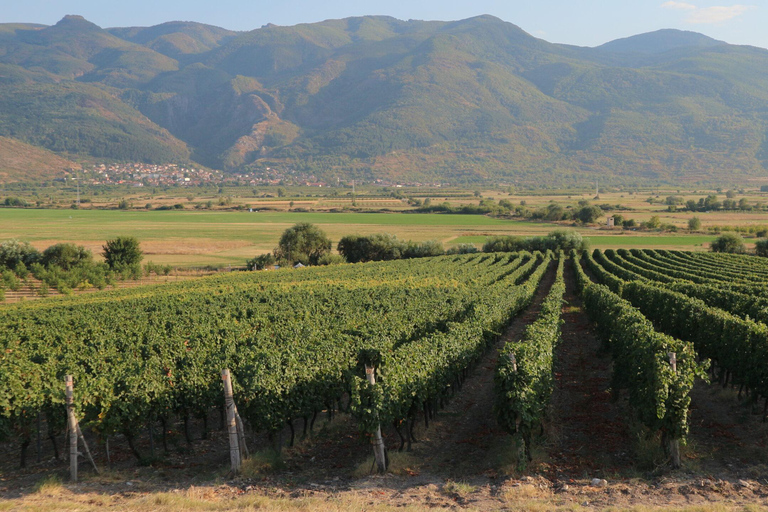 From Sofia: Plovdiv and Thracian Wine Tour with Lunch
