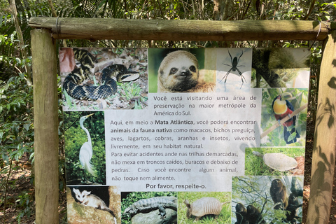 圣保罗：植物园与生物学家导览游（周末）生物学家带你游览圣保罗植物园