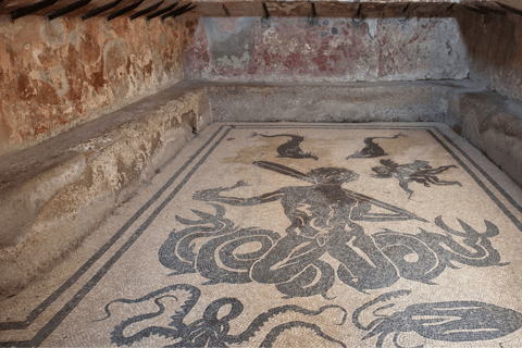 Da Roma: Tour di Pompei ed Ercolano con treno ad alta velocità