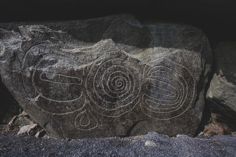 من دبلن: رحلة ليوم واحد إلى نيوجرانج ووادي بويندبلن: رحلة ليوم واحد إلى نيوغرانغ ووادي بوين