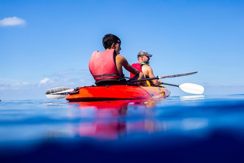 Discover the Island Dragonera by kayak and on foot