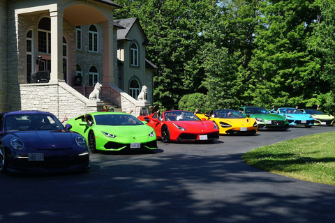 Hamilton Mountain: 3 Hour Exotic Car Tour with 5 Supercars