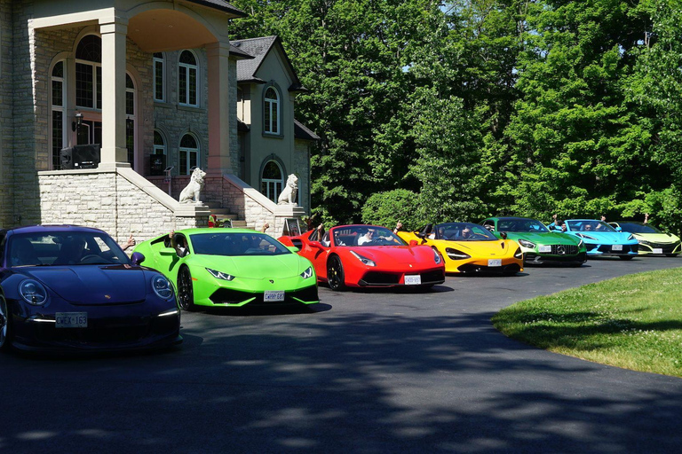Hamilton Mountain: 3 Hour Exotic Car Tour with 5 Supercars