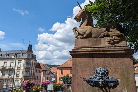 Saverne : visite à pied des points forts