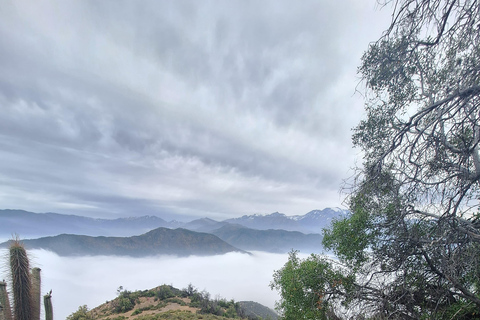 Andes Day Hike from Santiago: Summit Alto del Naranjo