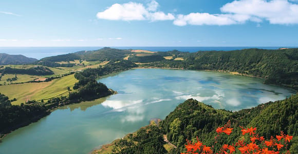 São Miguel: Furnas Valley and Tea Factory Day Trip