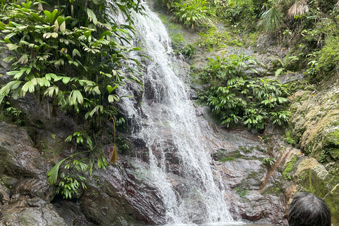 Minca: Coffee Farm and Hidden Waterfall Tour with Lunch