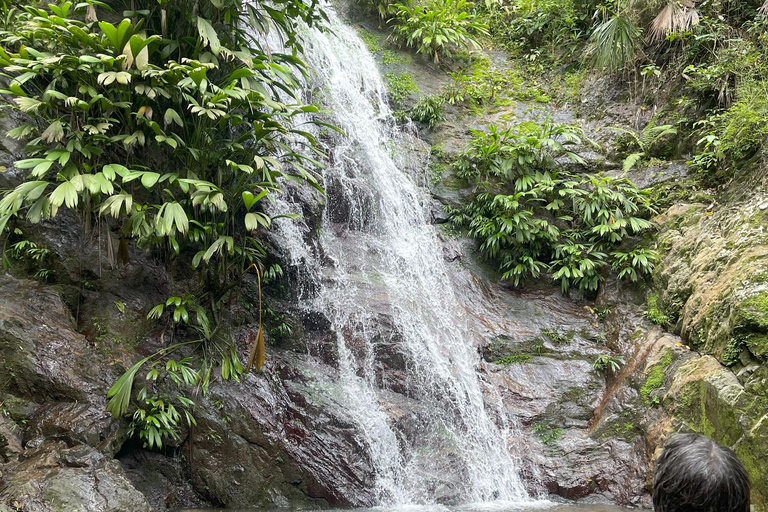 Minca: Coffee Farm and Hidden Waterfall Tour with Lunch