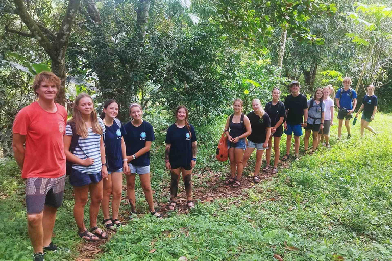 Panama City: Portobelo Jungle, Reef & Venas Azules Tour