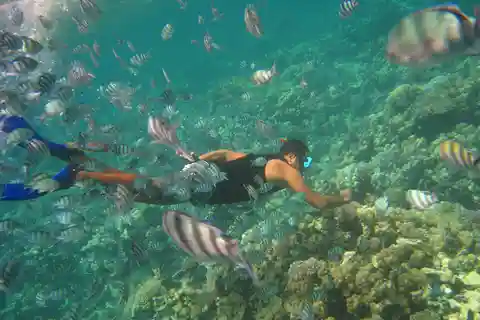 Nha Trang: Park morski na wyspie Mun i nurkowanie na rafie koralowej