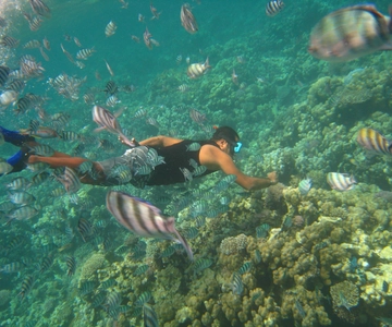Nha Trang: Mun Island Marine Park en snorkelen in koraalrif