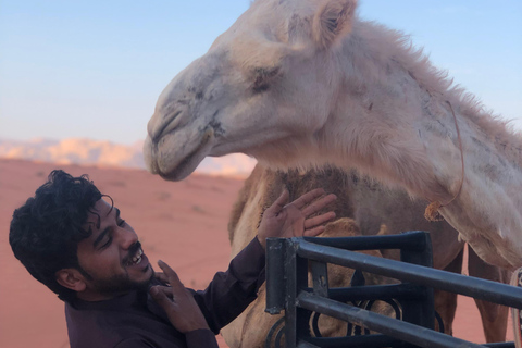 Deserto del Wadi Rum: Tour di un giorno in Jeep e pranzo tradizionale