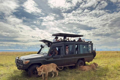 Mombasa: Tsavo West Overnight Safari & Night Drive at Ziwani