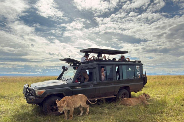 Mombasa: Tsavo West Overnight Safari & Night Drive at Ziwani