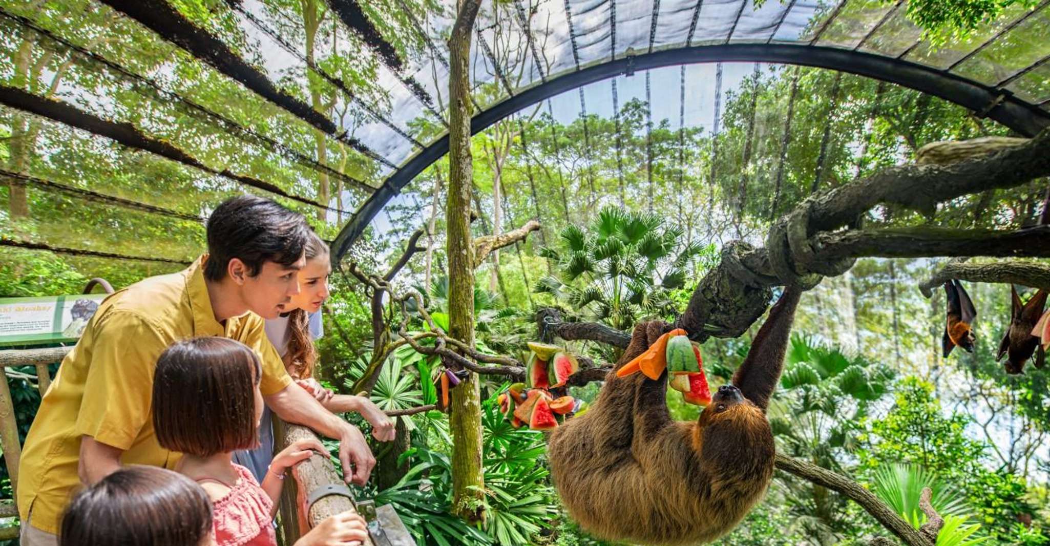 One-Way Transfer to Singapore Zoo or Night Safari