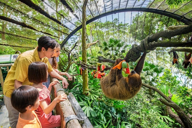 One-Way Transfer to Singapore Zoo or Night Safari