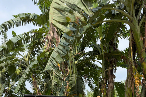 Hanoi Jeep Safari Tour: Red River Island Adventure | 2 Hours