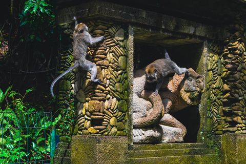 Bali: Monkey Forest, Taman Ayun, Tanah Lot Temple Tour Private Tour Without Entry Tickets