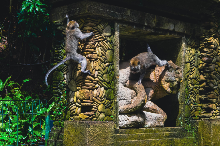 Bali: Monkey Forest, Taman Ayun, Tanah Lot Temple Tour Private Tour Without Entry Tickets