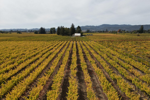 Napa Valley: ATV Vineyard Tour with Wine Tasting
