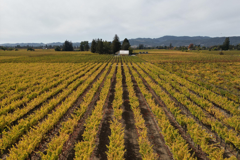 Napa Valley: ATV Vineyard Tour with Wine Tasting
