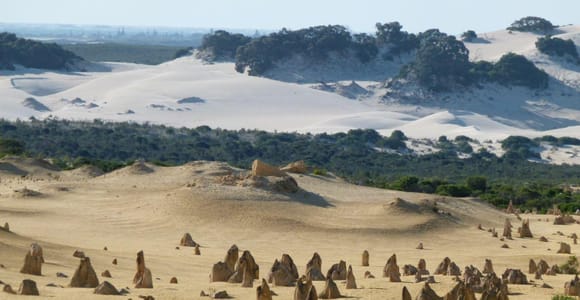 From Perth: Pinnacles Desert, Yanchep & Swan Valley Day Tour