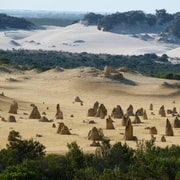From Perth: Pinnacles Desert, Yanchep & Swan Valley Day Tour