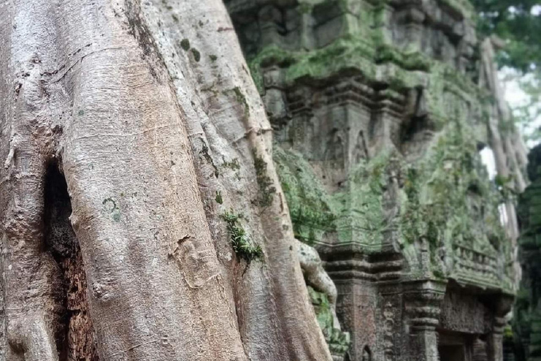 Excursión de 2 días a los Templos Unfoggetable de Siem Reap con salida/puesta de solVisita compartida