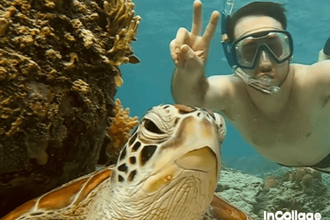 Gili eiland : Groep/Share Snorkeltour 3 gili eilandenGroep/Share Snorkeltour per Glazen Bodem Boot