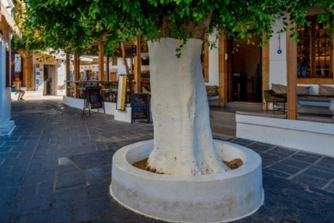 From Rhodes: Bus Tour to Lindos and the Seven Springs