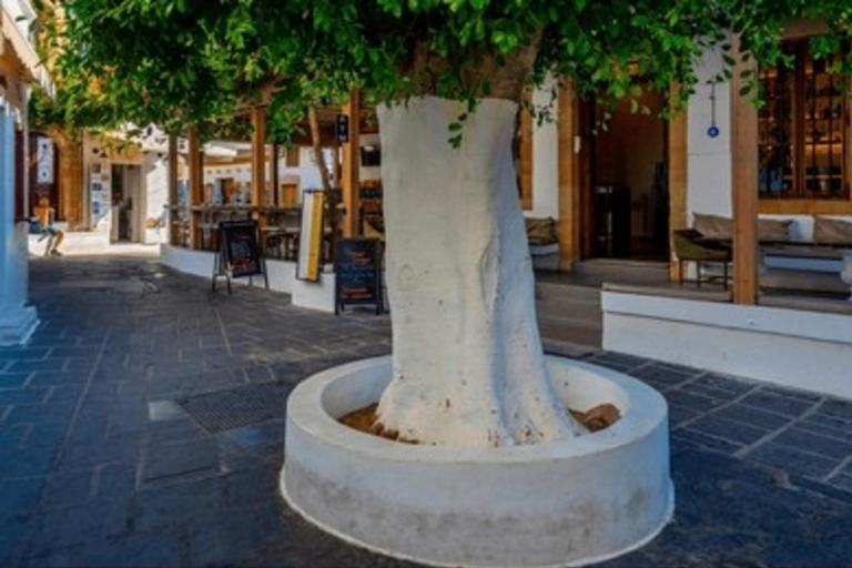 From Rhodes: Bus Tour to Lindos and the Seven Springs