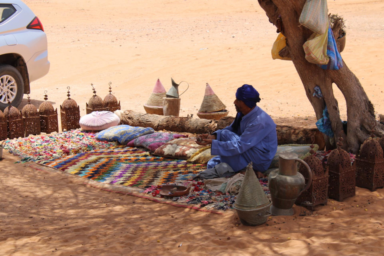 4x4 Mini Sahara & Berber Culture Experience from Agadir