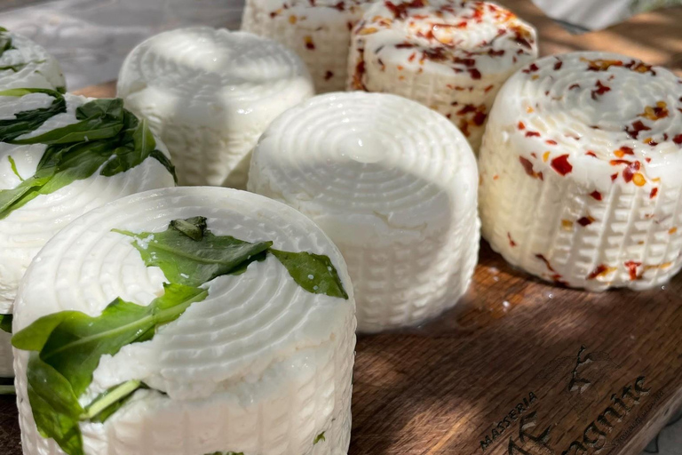 Puglia: Mozzarella Experience at an Apulian Farm Mozzarella Experience in English