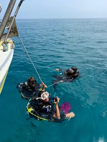 Santo Stefano al Mare: Tauchprobe für Anfänger