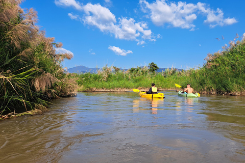 Chiang Mai: Natura e campagna in bicicletta per un'intera giornataVisita guidata in inglese