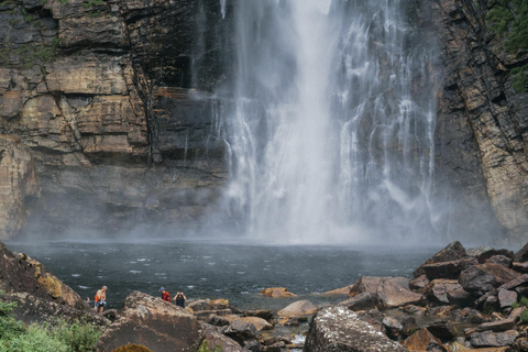 From São Paulo: 5-Day Serra da Canastra Wildlife Safari
