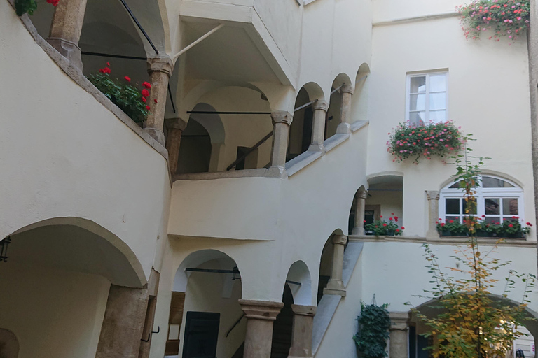 Graz Winter Walking Tour with Christmas Markets GRAZ: PRIVATE WINTER WALKING TOUR