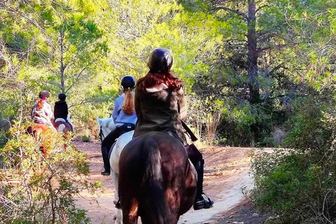 Alicante: Sierra Helada Natural Park Horseback Ride