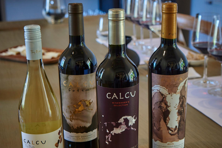 Colchagua Valley: Calcu-tourColchagua-vallei: Calcu-tour