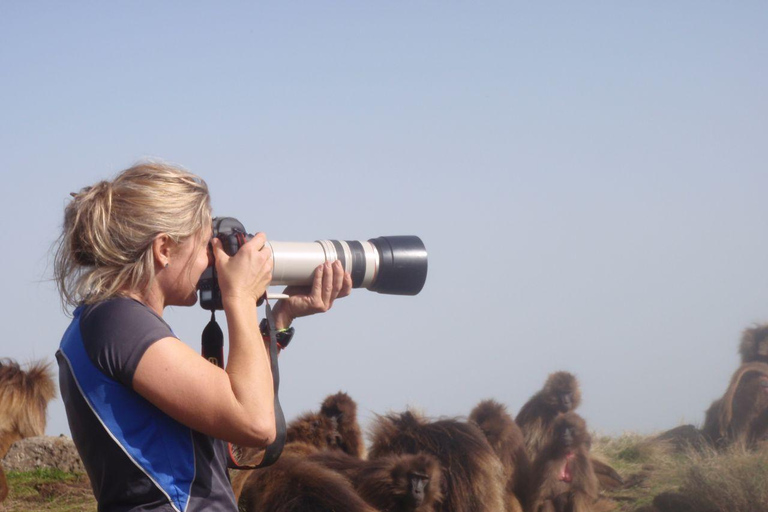 6 Dagen Klimmen naar de hoogste top van Ethiopië Mt.RasdejenTrek 4 dagen naar Mt.Rasdejen de hoogste top van Ethiopië