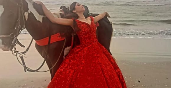 Cartagena: Ride a horse & sail through the mangrove