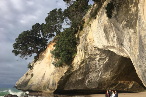 Auckland: Coromandel Beach, grottor och skog privat tur