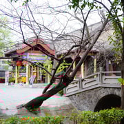 Romantic Nagasaki: Historical Charms and Seaside Views