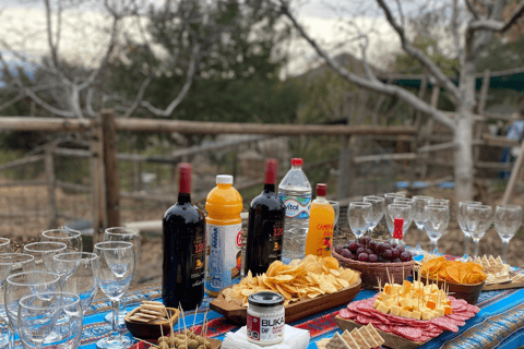 Von Santiago: Valle de Aconcagua &amp; Laguna del IncaVon Santiago: Aconcagua-Tal &amp; Laguna del Inca