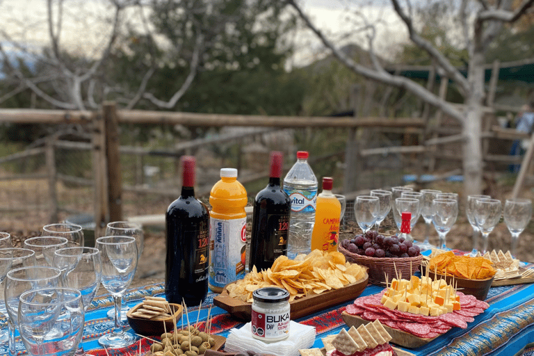 Von Santiago: Valle de Aconcagua &amp; Laguna del IncaVon Santiago: Aconcagua-Tal &amp; Laguna del Inca