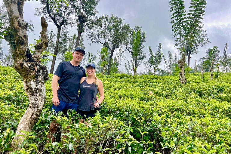 From Kandy: Ella Drop Tour via Nuwara Eliya From Kandy: Ella Drop Tour via Nuwara Eliya by Tuk Tuk