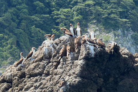 Sirena Day Tour - Local Experience in Puerto Jiménez Sirena Full-Day Sightseeing Tour - Local Experience in Puerto Jiménez